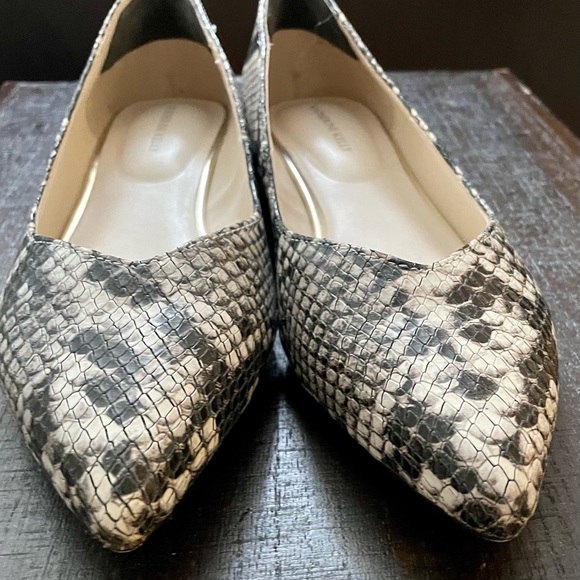 Katherine Kelly shoes - Picture 4 of 6